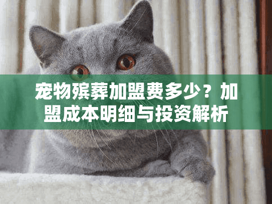 宠物殡葬加盟费多少？加盟成本明细与投资解析