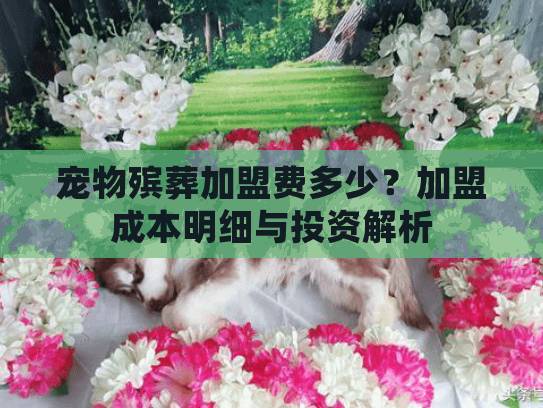 宠物殡葬加盟费多少？加盟成本明细与投资解析