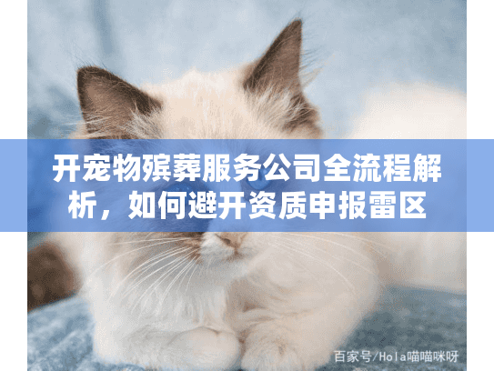 开宠物殡葬服务公司全流程解析，如何避开资质申报雷区