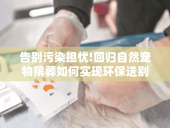 告别污染担忧!回归自然宠物殡葬如何实现环保送别?