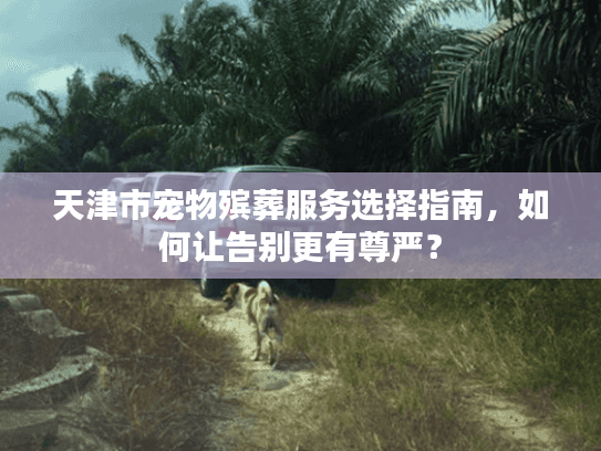 天津市宠物殡葬服务选择指南，如何让告别更有尊严？