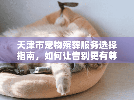 天津市宠物殡葬服务选择指南，如何让告别更有尊严？