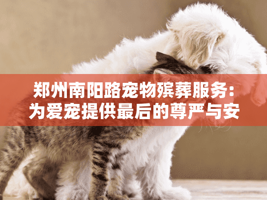 郑州南阳路宠物殡葬服务:为爱宠提供最后的尊严与安息