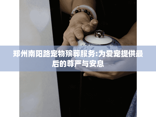 郑州南阳路宠物殡葬服务:为爱宠提供最后的尊严与安息