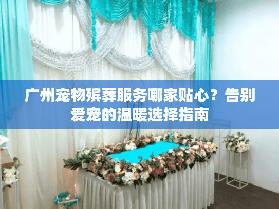 广州宠物殡葬服务哪家贴心？告别爱宠的温暖选择指南