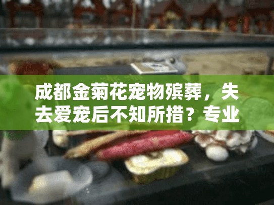 成都金菊花宠物殡葬，失去爱宠后不知所措？专业服务助您安心告别