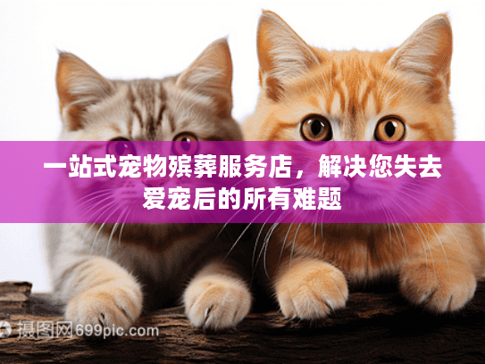 一站式宠物殡葬服务店，解决您失去爱宠后的所有难题