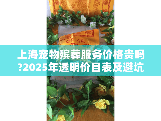 上海宠物殡葬服务价格贵吗?2025年透明价目表及避坑指南