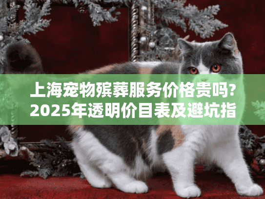 上海宠物殡葬服务价格贵吗?2025年透明价目表及避坑指南