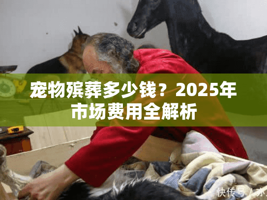 宠物殡葬多少钱？2025年市场费用全解析