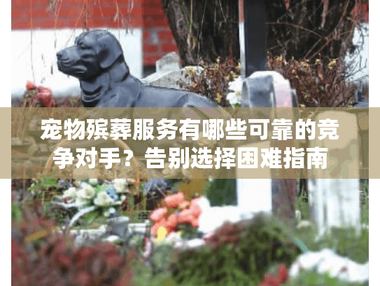 宠物殡葬服务有哪些可靠的竞争对手？告别选择困难指南