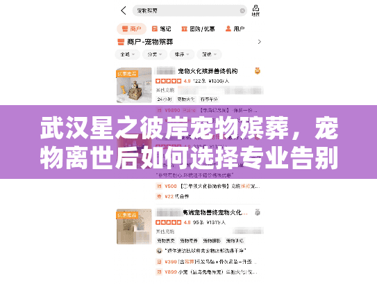 武汉星之彼岸宠物殡葬，宠物离世后如何选择专业告别服务？