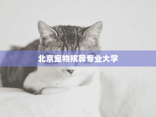 北京宠物殡葬专业大学