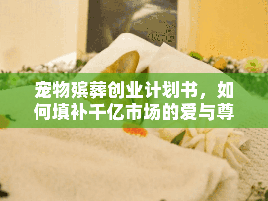 宠物殡葬创业计划书，如何填补千亿市场的爱与尊严空白