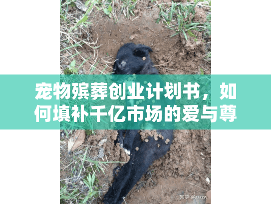 宠物殡葬创业计划书，如何填补千亿市场的爱与尊严空白