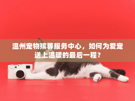 温州宠物殡葬服务中心，如何为爱宠送上温暖的最后一程？