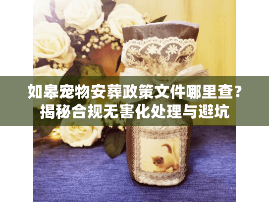 如皋宠物安葬政策文件哪里查图片