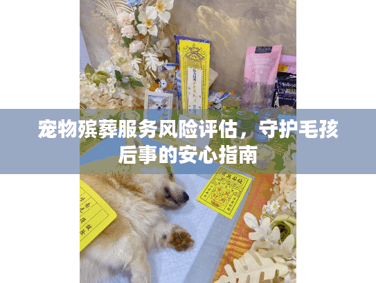 宠物殡葬服务风险评估，守护毛孩后事的安心指南