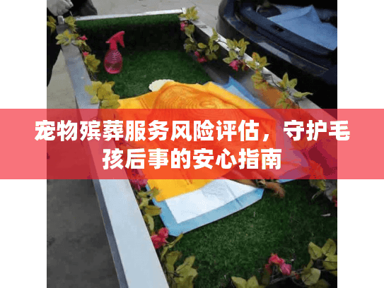 宠物殡葬服务风险评估，守护毛孩后事的安心指南