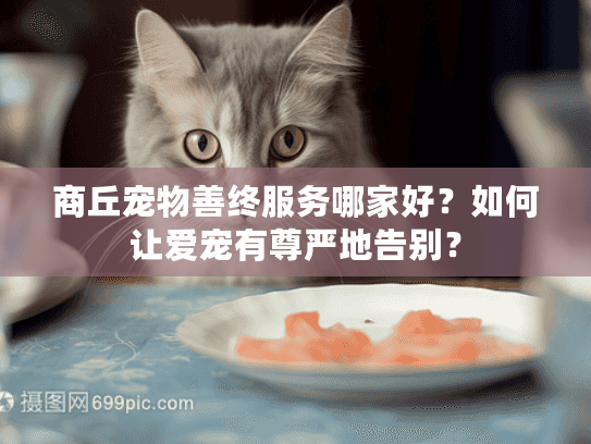 商丘宠物善终服务哪家好？如何让爱宠有尊严地告别？