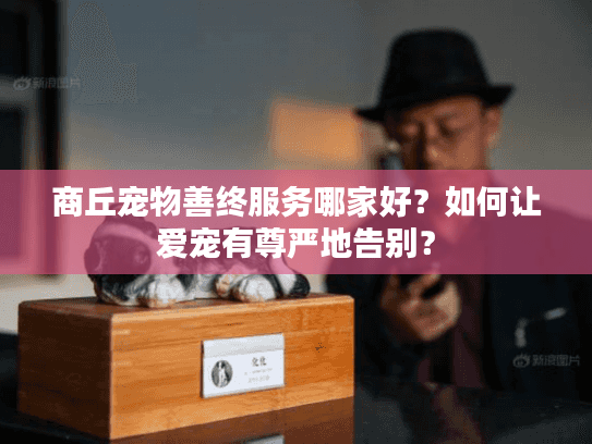 商丘宠物善终服务哪家好？如何让爱宠有尊严地告别？