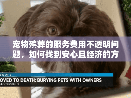 宠物殡葬的服务费用不透明问题，如何找到安心且经济的方案？