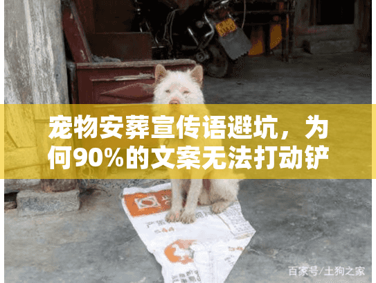 宠物安葬宣传语避坑，为何90%的文案无法打动铲屎官？