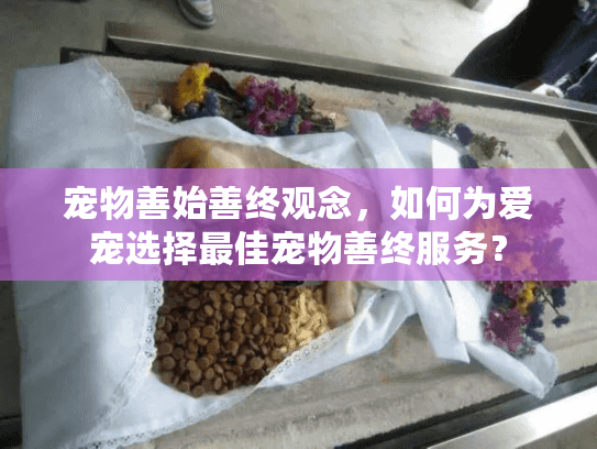 宠物善始善终观念，如何为爱宠选择最佳宠物善终服务？