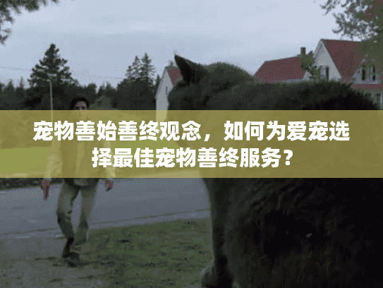 宠物善始善终观念，如何为爱宠选择最佳宠物善终服务？