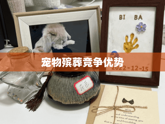 宠物殡葬竞争优势