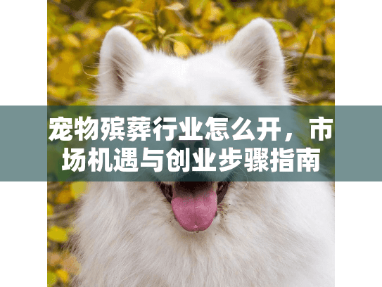 宠物殡葬行业怎么开，市场机遇与创业步骤指南