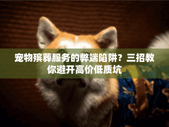 宠物殡葬服务的弊端陷阱？三招教你避开高价低质坑