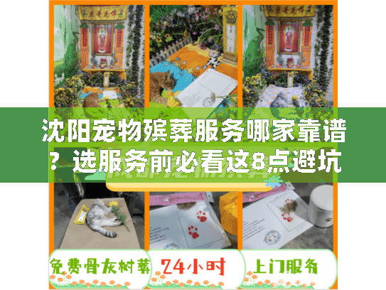 沈阳宠物殡葬服务哪家靠谱？选服务前必看这8点避坑指南