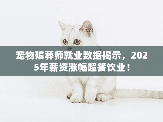 宠物殡葬师就业数据揭示，2025年薪资涨幅超餐饮业！