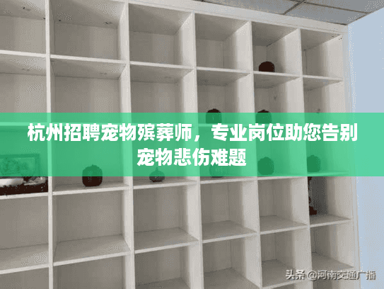 杭州招聘宠物殡葬师，专业岗位助您告别宠物悲伤难题