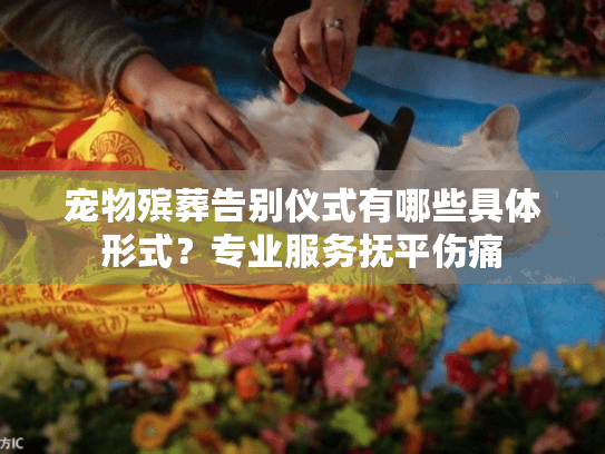 宠物殡葬告别仪式有哪些具体形式？专业服务抚平伤痛