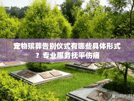 宠物殡葬告别仪式有哪些具体形式？专业服务抚平伤痛