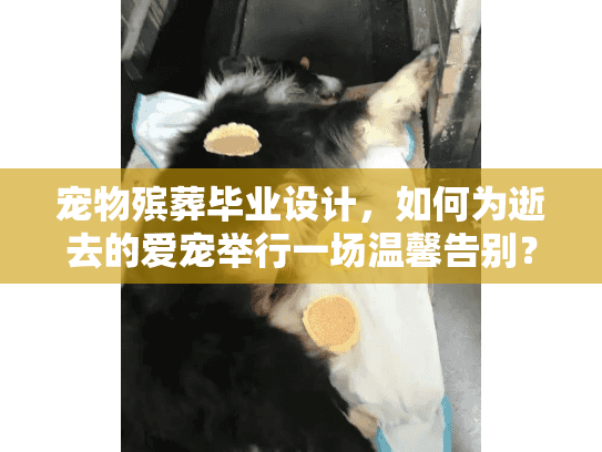 宠物殡葬毕业设计，如何为逝去的爱宠举行一场温馨告别？