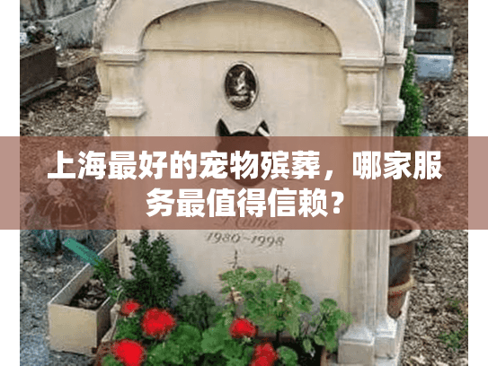 上海最好的宠物殡葬，哪家服务最值得信赖？