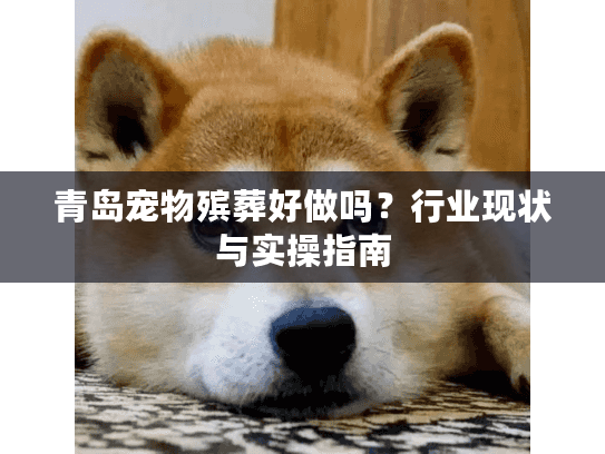青岛宠物殡葬好做吗？行业现状与实操指南