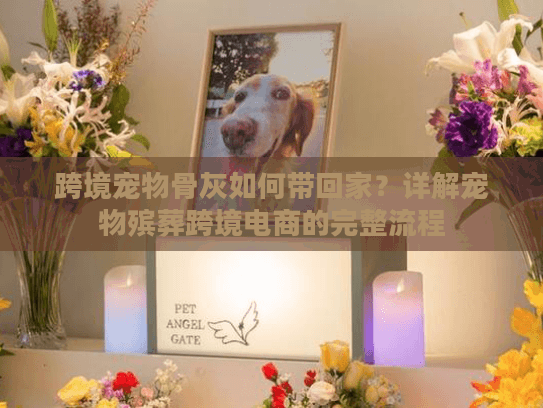 跨境宠物骨灰如何带回家？详解宠物殡葬跨境电商的完整流程