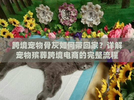 跨境宠物骨灰如何带回家？详解宠物殡葬跨境电商的完整流程