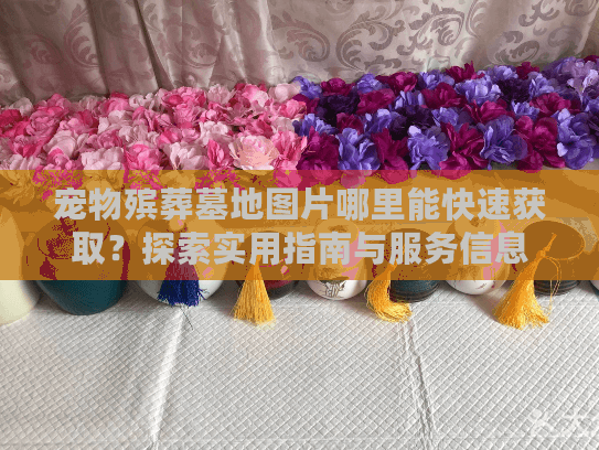 宠物殡葬墓地图片哪里能快速获取？探索实用指南与服务信息