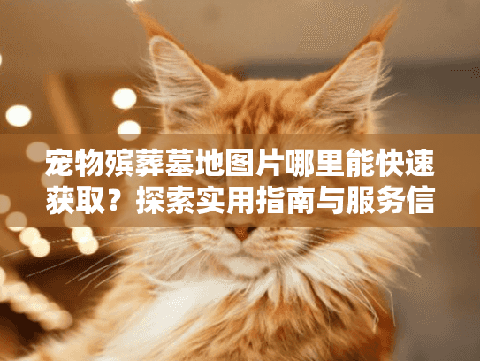 宠物殡葬墓地图片哪里能快速获取？探索实用指南与服务信息