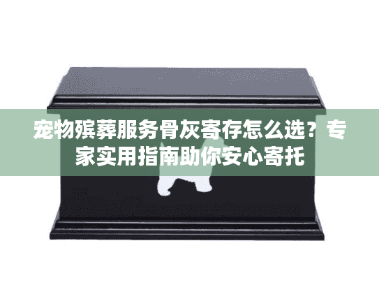 宠物殡葬服务骨灰寄存怎么选？专家实用指南助你安心寄托
