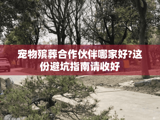 宠物殡葬合作伙伴哪家好?这份避坑指南请收好
