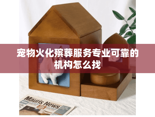 宠物火化殡葬服务专业可靠的机构怎么找