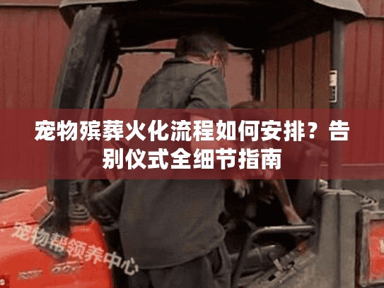 宠物殡葬火化流程如何安排？告别仪式全细节指南