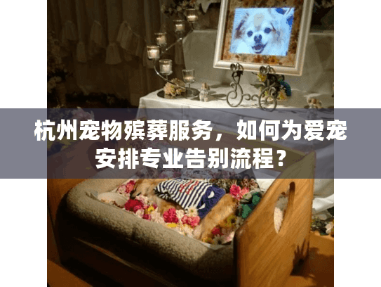 杭州宠物殡葬服务，如何为爱宠安排专业告别流程？