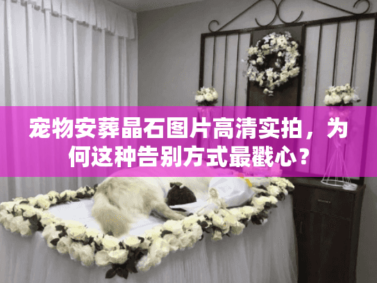 宠物安葬晶石图片高清实拍，为何这种告别方式最戳心？